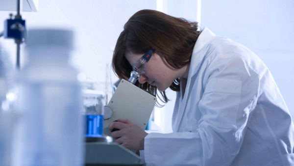 sonax; t&ouml;k&eacute;letes megjelen&eacute;s; &aacute;pol&aacute;s;, SONAX