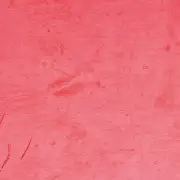 aut&oacute;mos&aacute;s; aut&oacute;&aacute;pol&aacute;s; aut&oacute;tiszt&iacute;t&aacute;s, A Megkopott, Enyh&eacute;n Megkarcol&oacute;dott Lakkoz&aacute;s